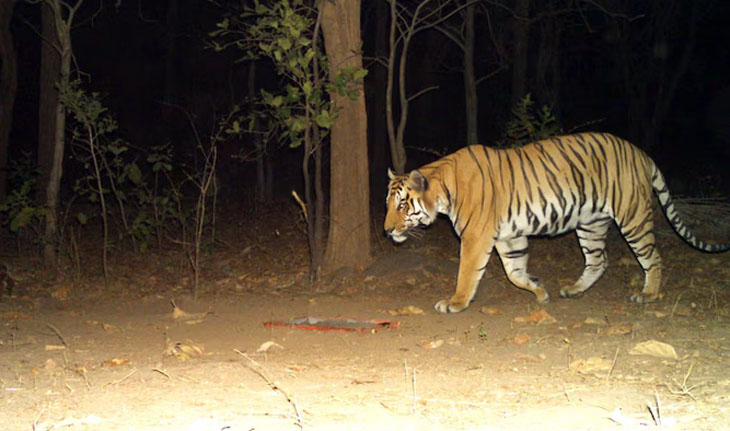 Aajkaal Daily (Desh Pardesh Ni Aajkaal)