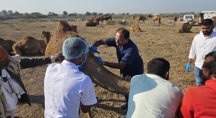 Aajkaal Daily (Desh Pardesh Ni Aajkaal)