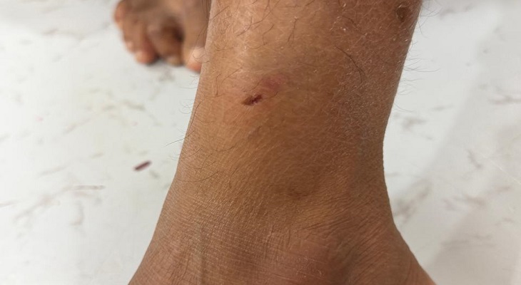 Aajkaal Daily (Desh Pardesh Ni Aajkaal)