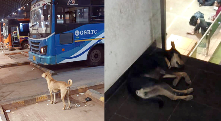 Aajkaal Daily (Desh Pardesh Ni Aajkaal)