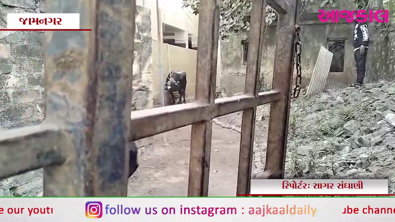 Aajkaal Daily (Desh Pardesh Ni Aajkaal)