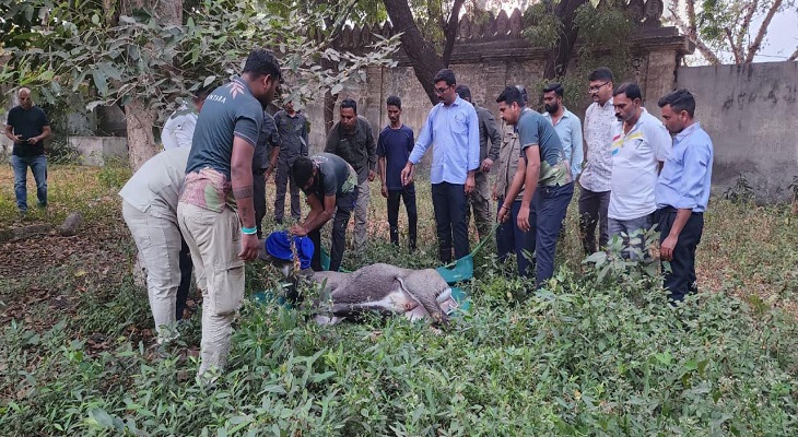 Aajkaal Daily (Desh Pardesh Ni Aajkaal)