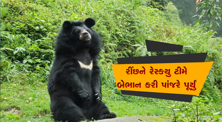 Aajkaal Daily (Desh Pardesh Ni Aajkaal)