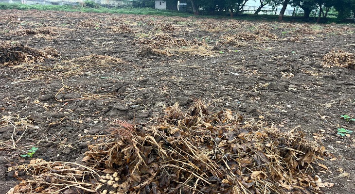 Aajkaal Daily (Desh Pardesh Ni Aajkaal)