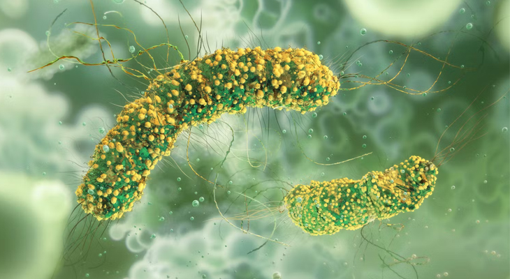 Aajkaal Daily (Desh Pardesh Ni Aajkaal)