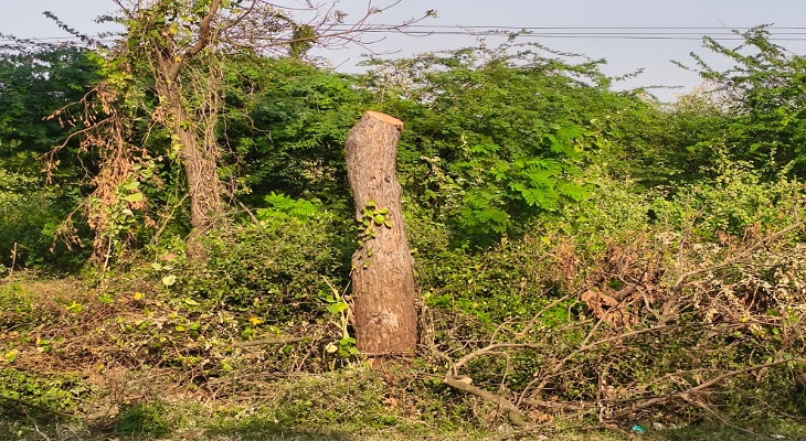 Aajkaal Daily (Desh Pardesh Ni Aajkaal)