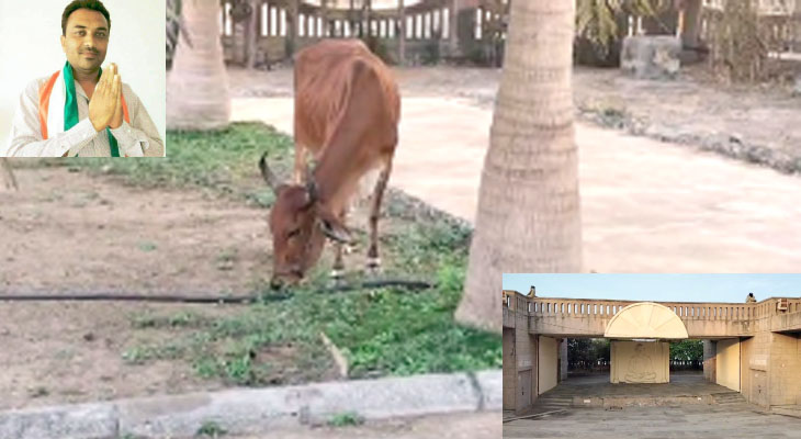 Aajkaal Daily (Desh Pardesh Ni Aajkaal)