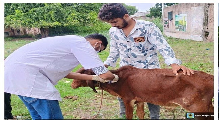 Aajkaal Daily (Desh Pardesh Ni Aajkaal)