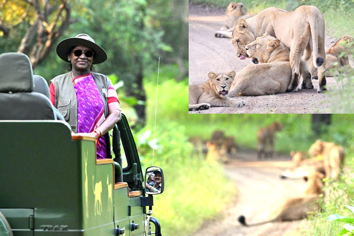 Aajkaal Daily (Desh Pardesh Ni Aajkaal)