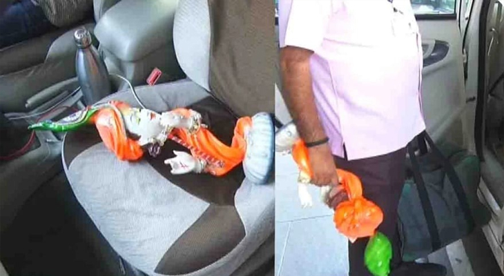 Aajkaal Daily (Desh Pardesh Ni Aajkaal)