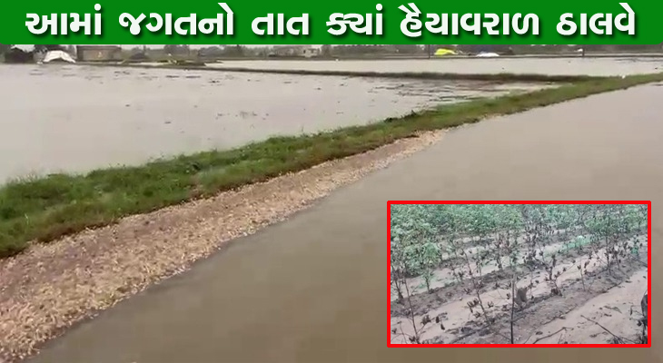 Aajkaal Daily (Desh Pardesh Ni Aajkaal)