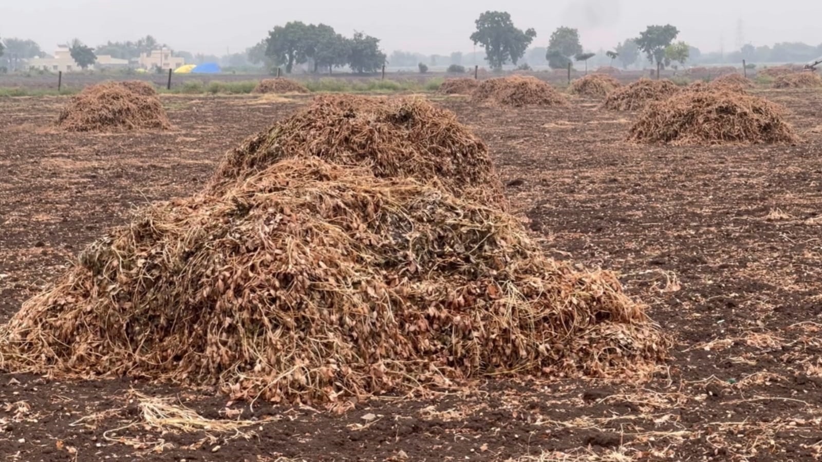 Aajkaal Daily (Desh Pardesh Ni Aajkaal)