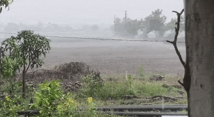 Aajkaal Daily (Desh Pardesh Ni Aajkaal)