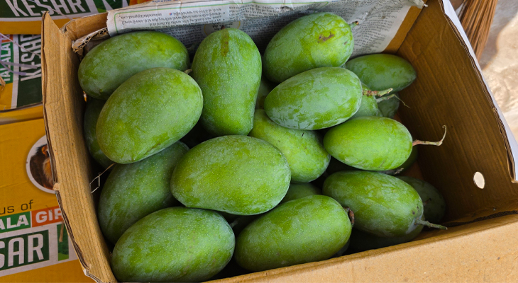 Aajkaal Daily (Desh Pardesh Ni Aajkaal)