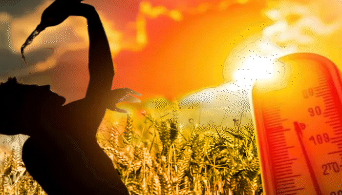 Aajkaal Daily (Desh Pardesh Ni Aajkaal)