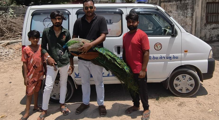 Aajkaal Daily (Desh Pardesh Ni Aajkaal)