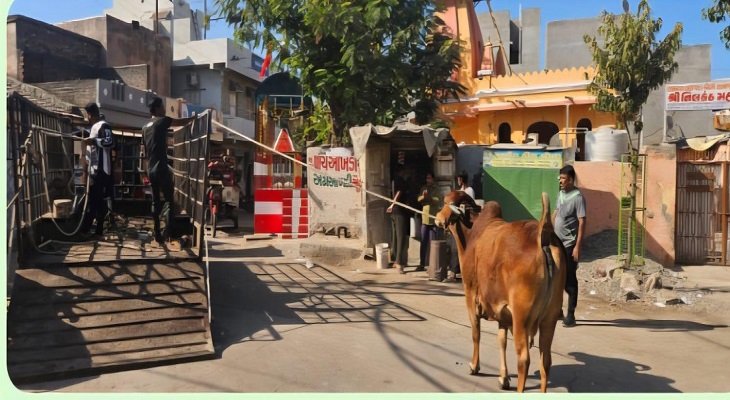 Aajkaal Daily (Desh Pardesh Ni Aajkaal)