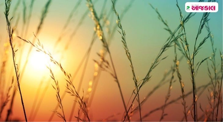 Aajkaal Daily (Desh Pardesh Ni Aajkaal)