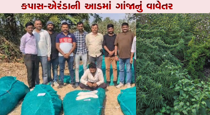 Aajkaal Daily (Desh Pardesh Ni Aajkaal)