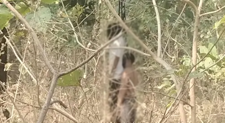 Aajkaal Daily (Desh Pardesh Ni Aajkaal)