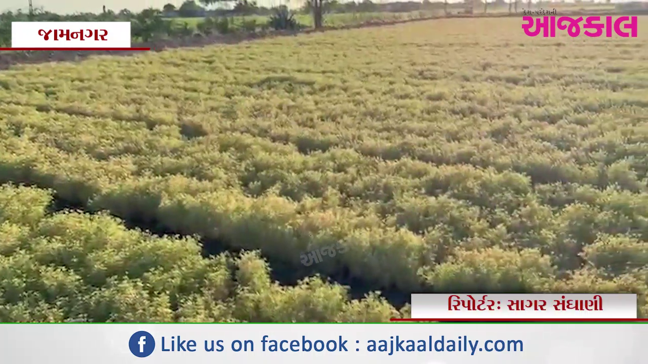 Aajkaal Daily (Desh Pardesh Ni Aajkaal)