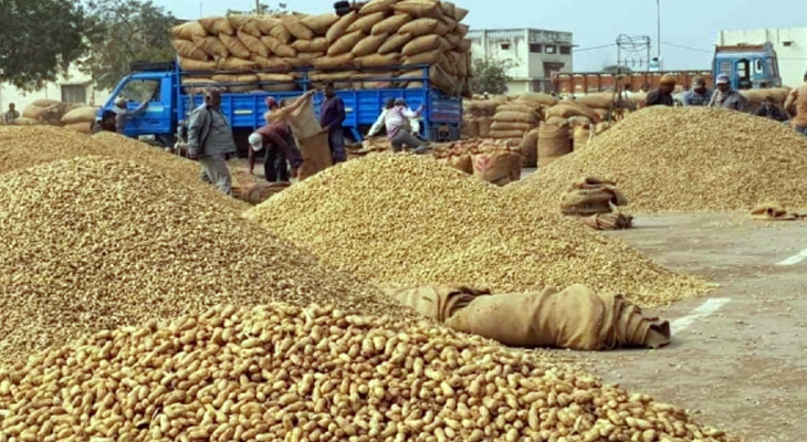 Aajkaal Daily (Desh Pardesh Ni Aajkaal)