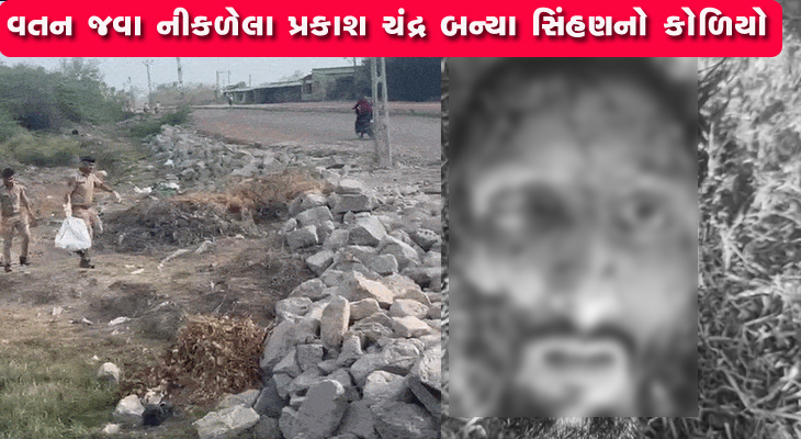 Aajkaal Daily (Desh Pardesh Ni Aajkaal)
