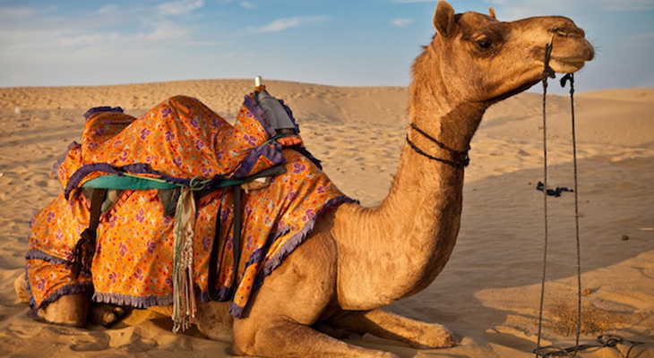 Aajkaal Daily (Desh Pardesh Ni Aajkaal)