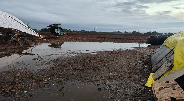 Aajkaal Daily (Desh Pardesh Ni Aajkaal)