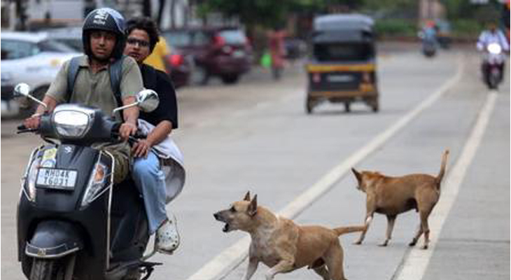 Aajkaal Daily (Desh Pardesh Ni Aajkaal)