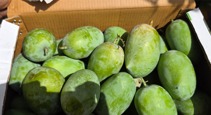 Aajkaal Daily (Desh Pardesh Ni Aajkaal)