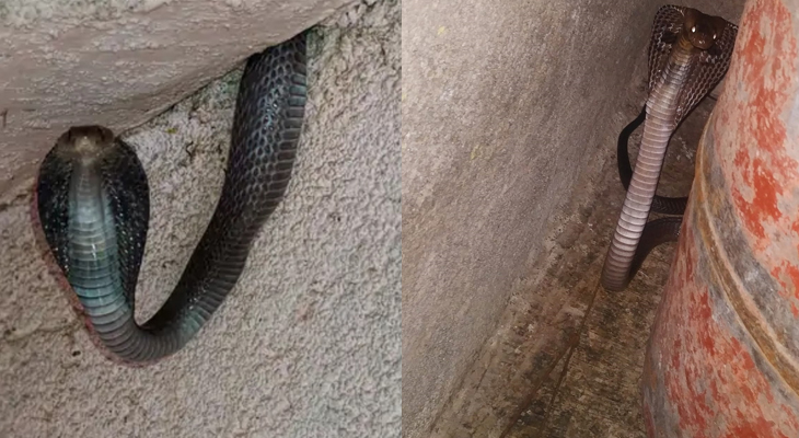 Aajkaal Daily (Desh Pardesh Ni Aajkaal)